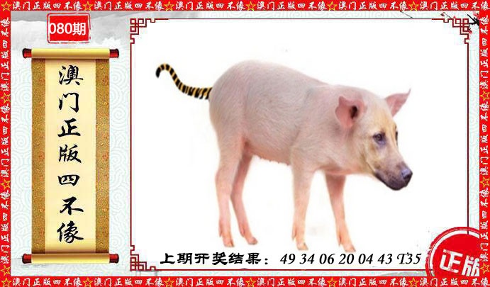 080期澳门另版四不像[图]